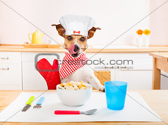 chef cook dog in kitchen 