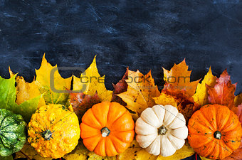 Autumnal colorful pumpkins, apples and fallen leaves  on dark ba