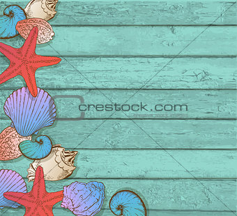 Sea shells on a wooden background. 