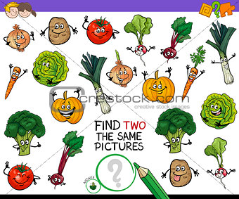 find two the same vegetables game