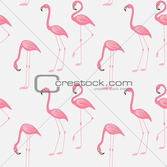 Seamless pattern of a pink flamingo