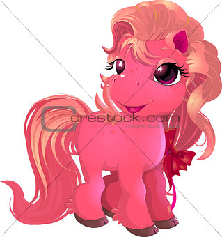 little beautiful pony