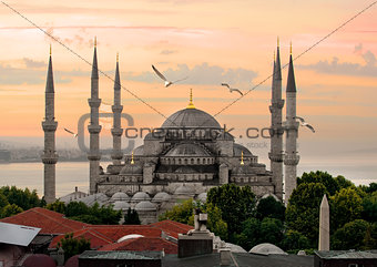 Blue Mosque and Bosphorus