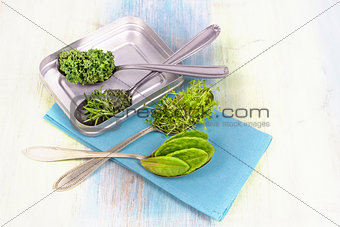 Vitamins - various herbs on spoons