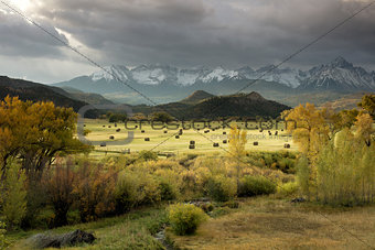 Autumn colors of Fall view of hay bales and trees in fields with San Juan Mountain range of Dallas Divide just outside of Ridgway Colorado America
