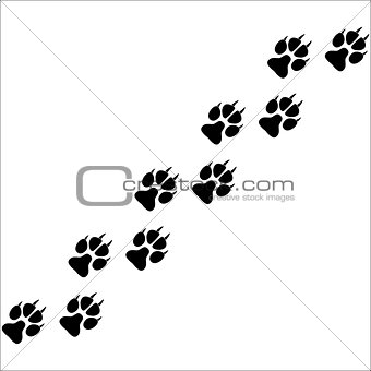 Footprints of paws of an animal
