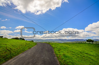 Road and green field