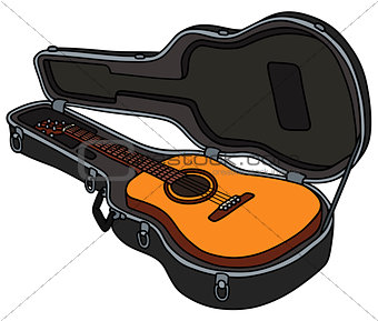 The guitar in a case