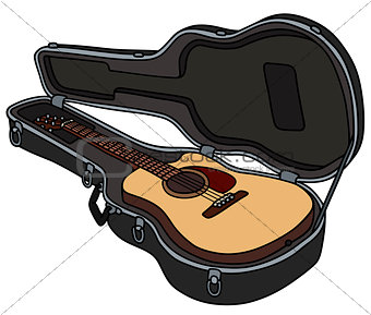 The guitar in a case