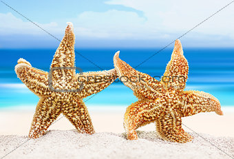 Two sea stars on the background of the sea shore. The concept of a romantic trip or marriage proposal