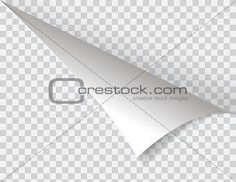 Shape of bent angle is free for filling. Vector Illustration.