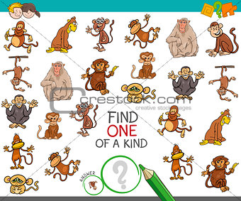 find one of a kind with monkey characters
