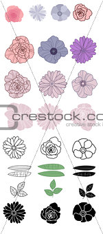 Set of different flowers