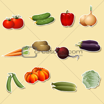 vegetables: corn, potatoes, tomatoes, carrots, peppers 