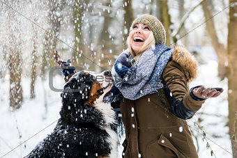 Woman walking her dog in the winter and both explore the snow to