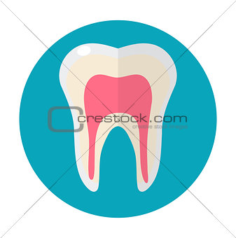 Healthy white teeth. Icon flat style. Dentistry, dentist concept. Isolated on white background. Vector illustration.