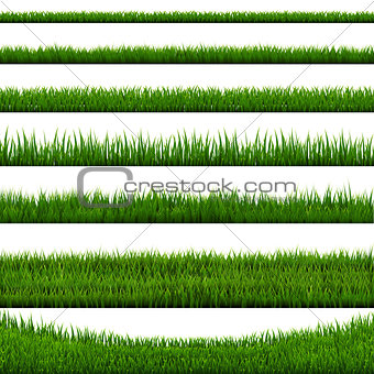 Grass Border Collection White Background