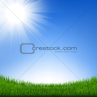 Grass Border With Sky