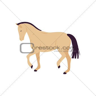 Cartoon horse vector illustration. Flat style pony.