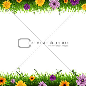 Grass And Flowers Border