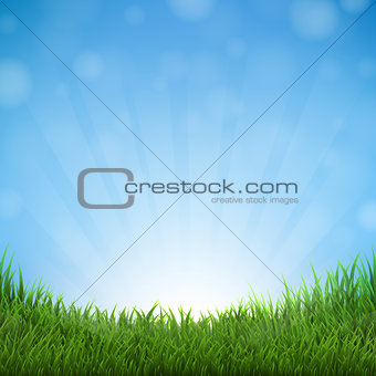Grass And Sky