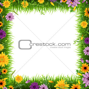 Grass Border With Flowers