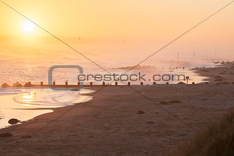Norfolk coast sunrise with many seals