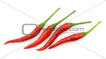 Hot chili pepper or small chili padi, line up, isolated on white