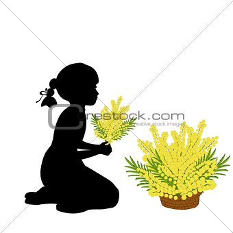 Silhouette girl holds mimosa. Mothers day