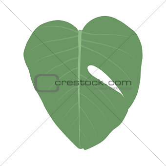 Colorful naturalistic green leaves on branch. Vector Illustratio