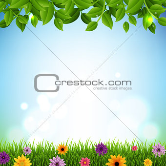 Green Sprout Set Transparent Background