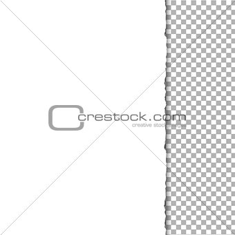 Paper With Grass And Transparent Background