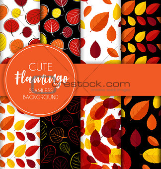 Autumn Leaves Seamless Pattern Collection Set  Background Vector Illustration