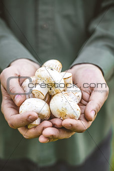 farmer with mushrooms