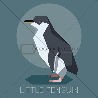 Flat Little Penguin
