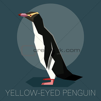Flat Yellow-eyed penguin