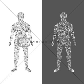 The digital man. Abstract of human body on white and black background
