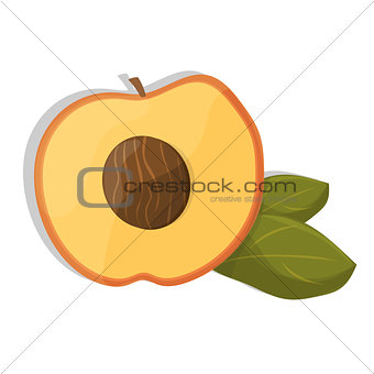 Ripe sliced apricot on a white background