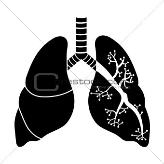 Lungs in Black and White