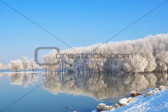 Winter trees covered with frost on Danube river