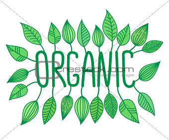 Green organic sign in with growing leaves, vector label and tag, fresh food concept sticker