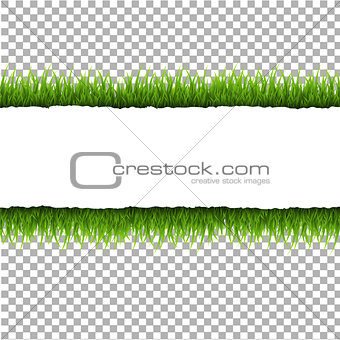 Ripped Paper With Grass And Transparent Background