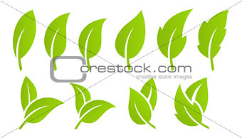 Green leaf set. Eco