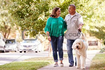 Senior Couple Walking Dog Along Suburban Street