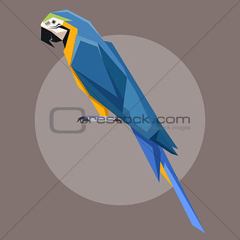 Flat polygonal Blue-and-Yellow Macaw