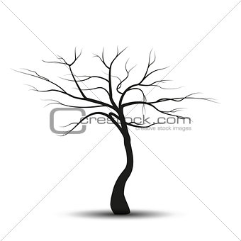 Silhouette tree without leaves