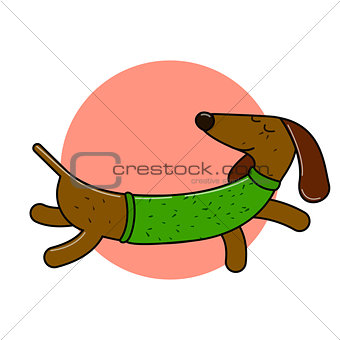 Long dachshund character. An isolated dog for your design.