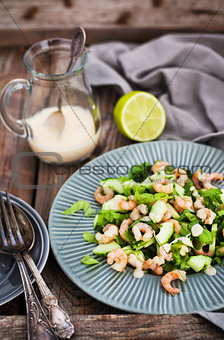 Shrimps, cucumber and lettuce salad with yogurt dressing 