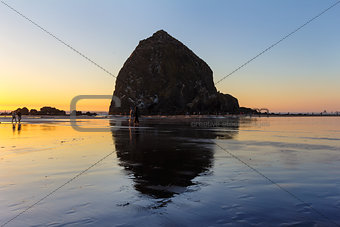 Beachcombers by Haystack Rock in Cannon Beach