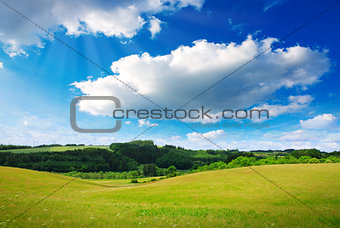 White big clouds and green field.